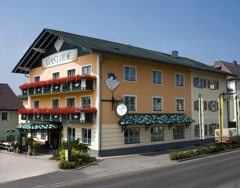 Hotel Blumauer Rainbach im Mühlkreis Zewnętrze zdjęcie